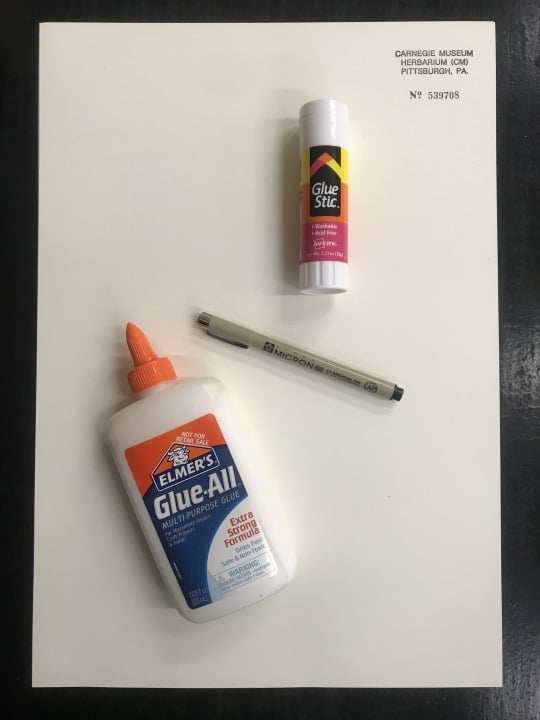 mounting tools: Elmer's Glue-All, archival pen, Glue Stic