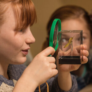 kid looking at a bug