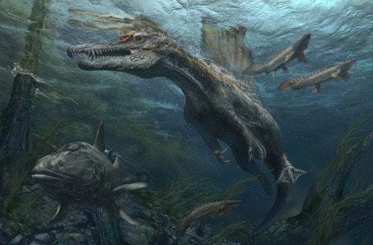 Weird Dinosaurs The Strange New Fossils Challenging Everything We Thought We Knew