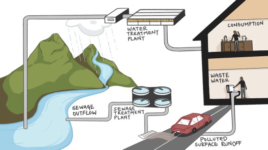 drawing of the city water cycle from waste water to drinking water