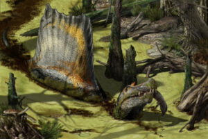 illustration of spinosaurus
