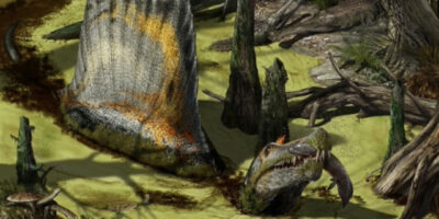 illustration of spinosaurus