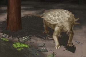 illustration of Gargoyleosaurus