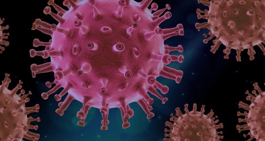 illustration of coronavirus cells