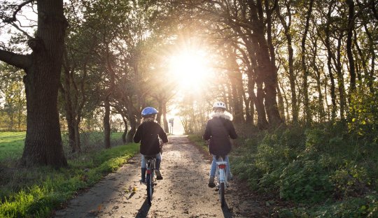 two children on bicycles riding on a path in the woods