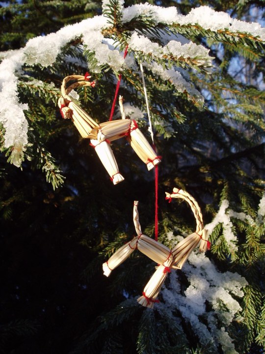 two yule goats hanging from a snowy branch