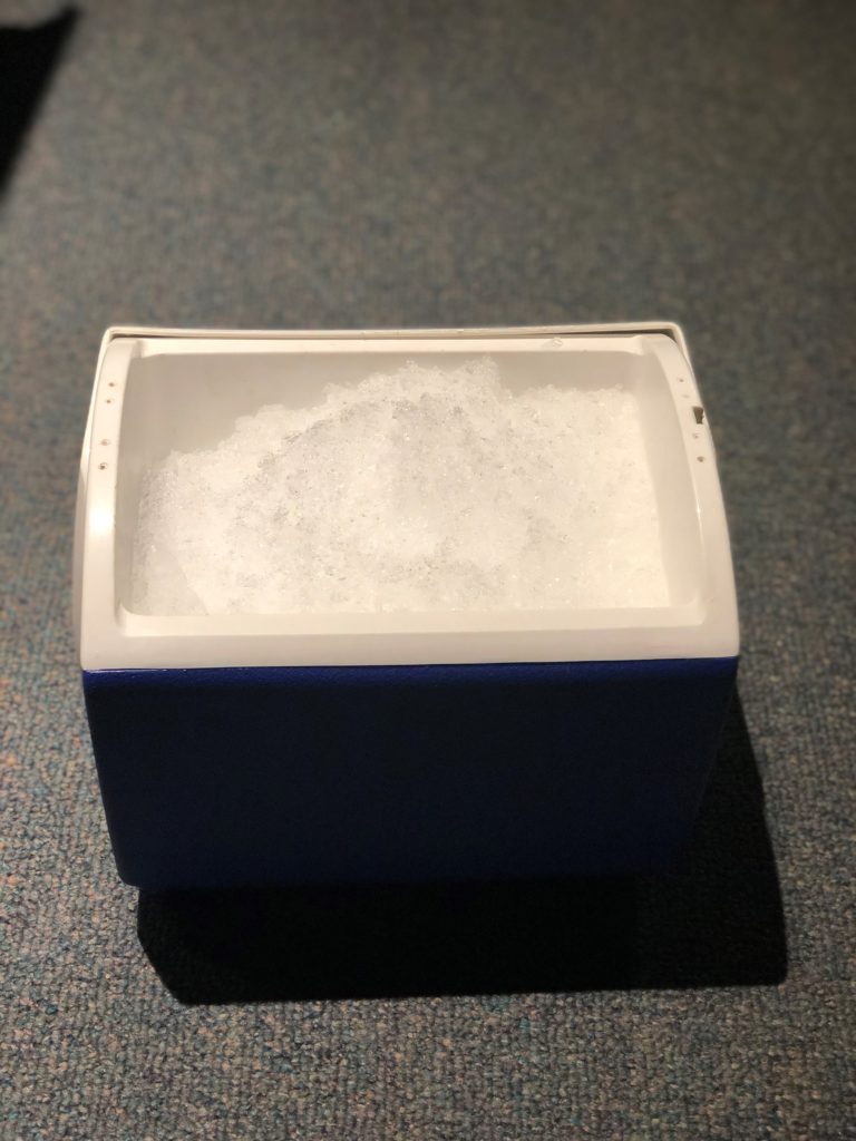 cooler filled with ice
