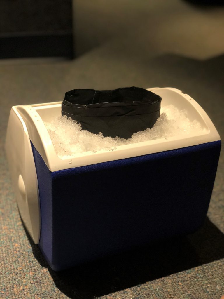blubber glove inserted into ice-filled cooler
