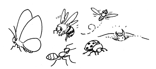 drawing of various insects including a butterfly, bee, and beetle 