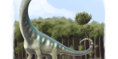 illustration of the titanosaur Dreadnoughtus