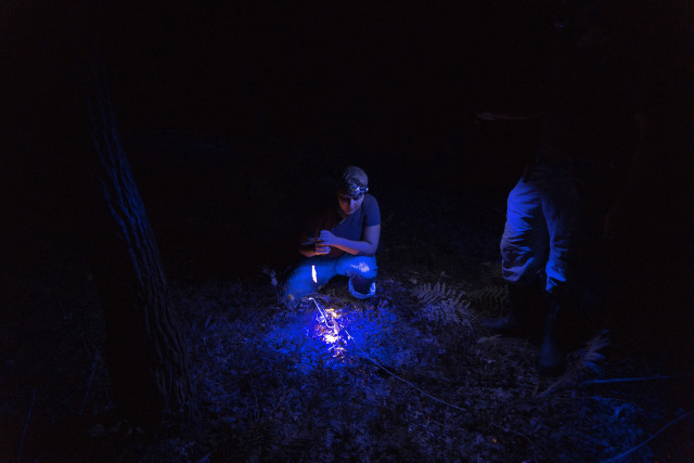 two people at night in the forest illuminated by blue light