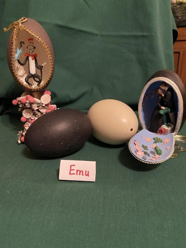 decorative emu eggs
