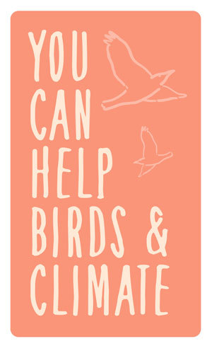 illustration of two birds flying with the text "You can help birds and climate"