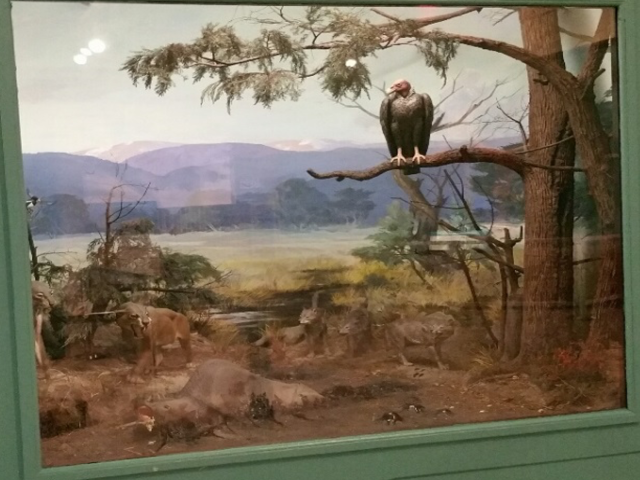 La Brea tar pits diorama. A vulture sits on a tree above the tar pits. 