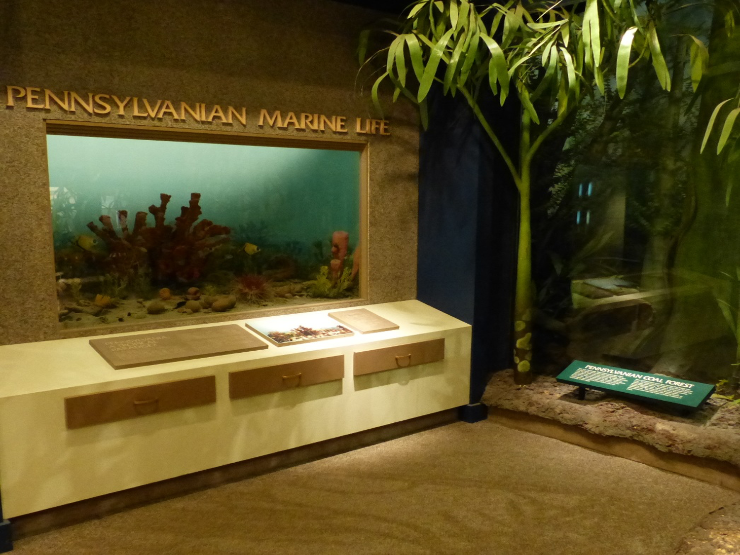 Exhibit labeled Pennsylvanian Marine Life. Below the sign is a diorama designed to look like an aquarium. 