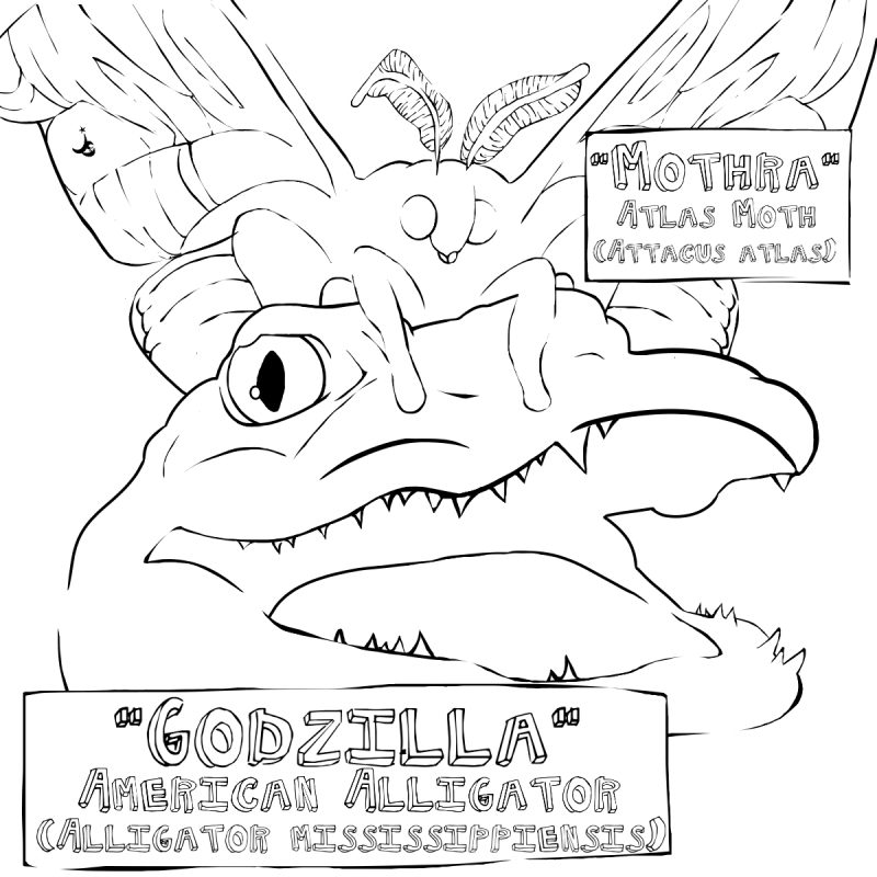Godzilla and Mothra coloring page