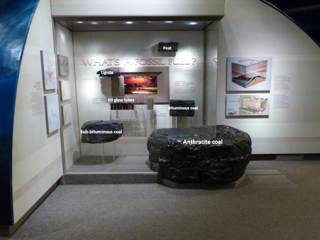Exhibit called "What's a Fossil Fuel?" Fossil fuels on display are labeled clockwise from the top as follows: peat, bituminous coal, anthracite coal, sub-bituminous coal, oil glass tubes, lignite.