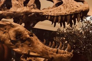 What Did Dinosaurs Sound Like?