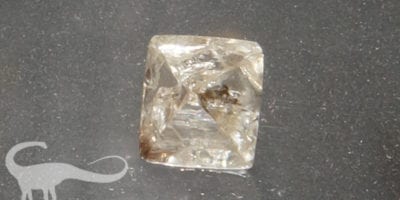 diamond specimen on gray background with dinosaur logo watermark in the corner