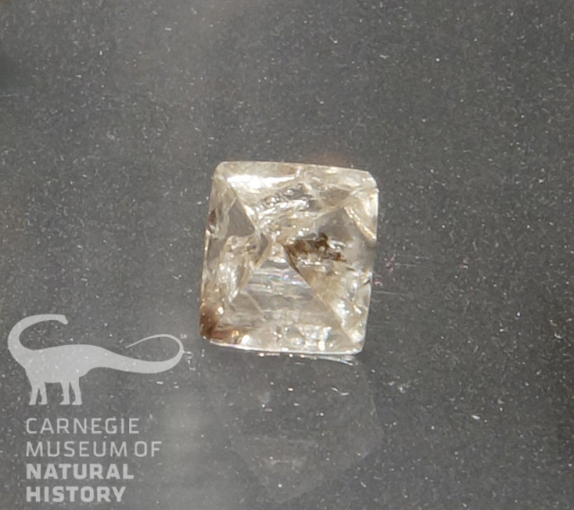 diamond specimen on gray background with dinosaur logo watermark in the left corner