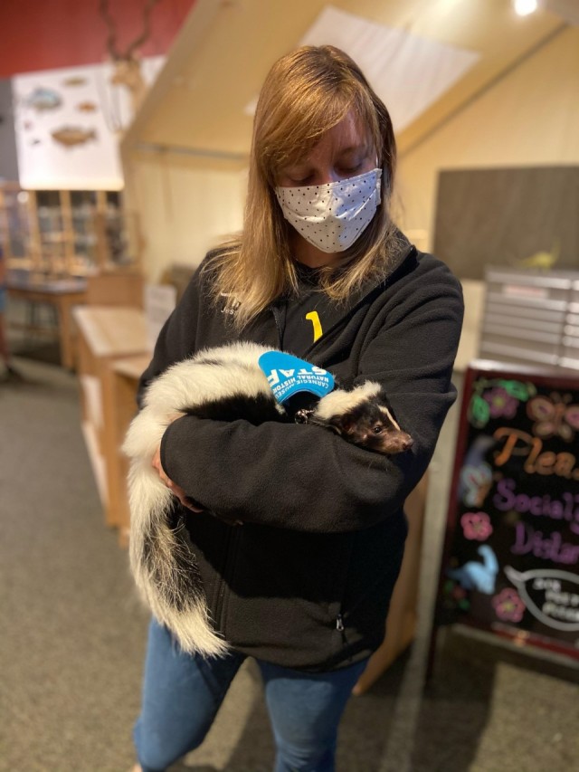Person holding a skunk in her arms. 