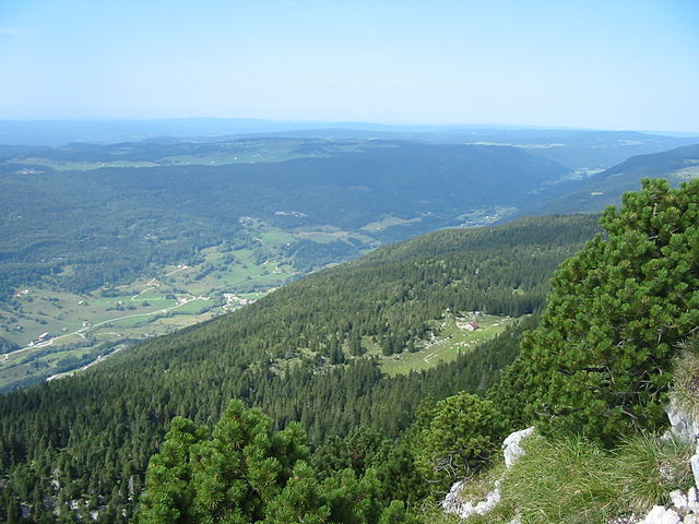 Mountains covered in a combination of green forests and lush grassy fields. 