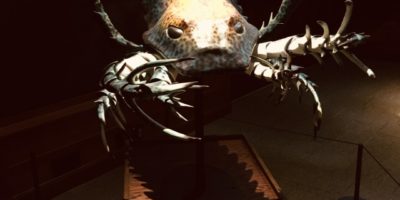 Replica giant sea scorpion on display in a museum.