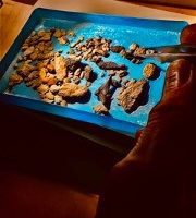 tray of fossil matrix