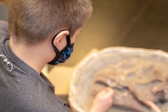 kid examining a fossil with a magnifying glass