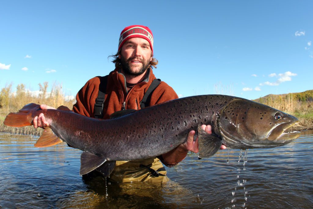 Man holding a Giant Eurasian Trout in a river
