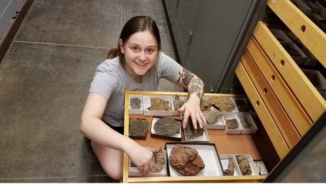 Woman with a drawer of coral fossils