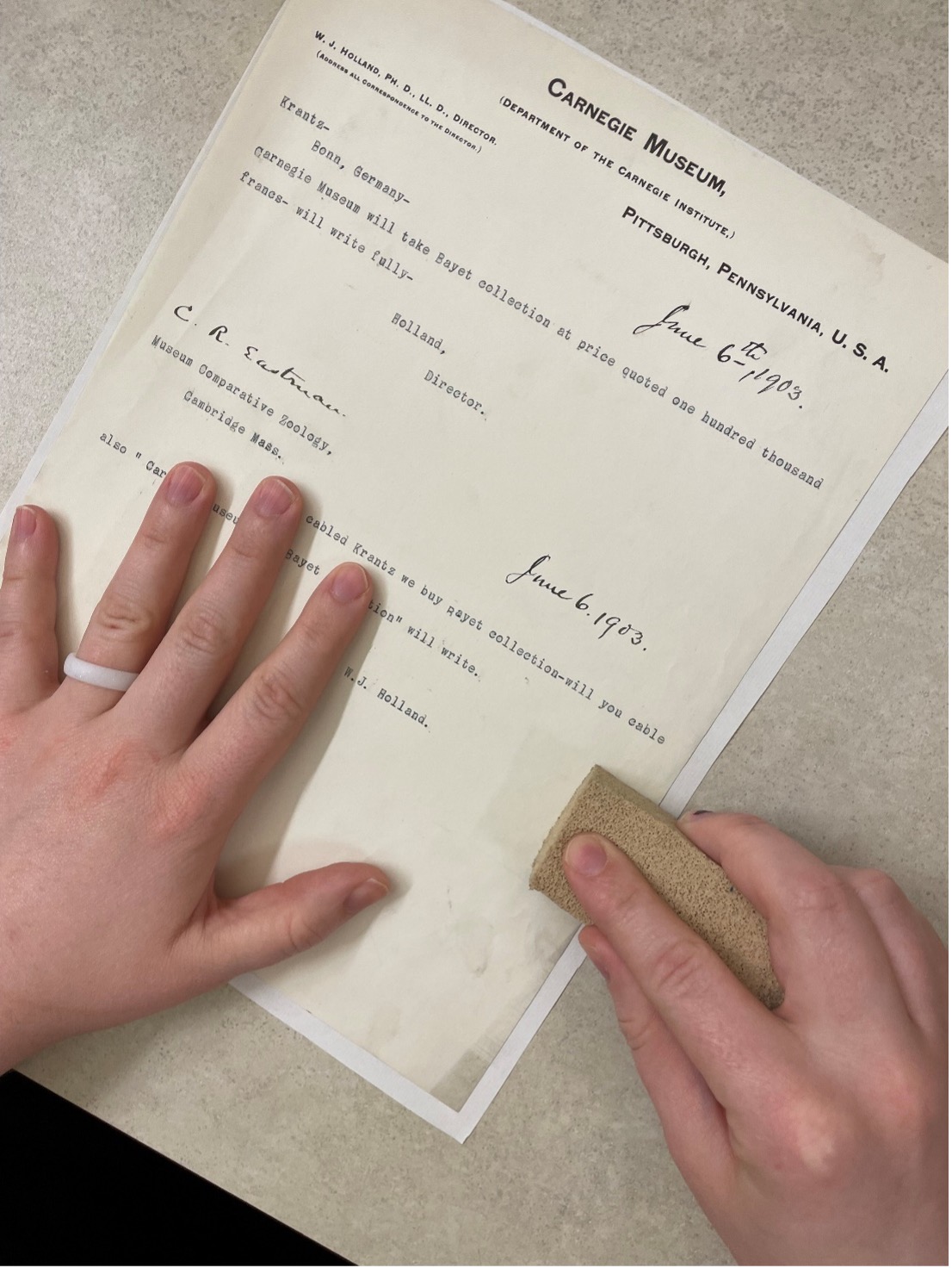 historic document being cleaned by hand with a vulcanized rubber sponge