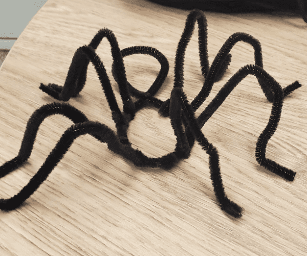 Spider Craft Activity
