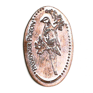 passenger pigeon penny design