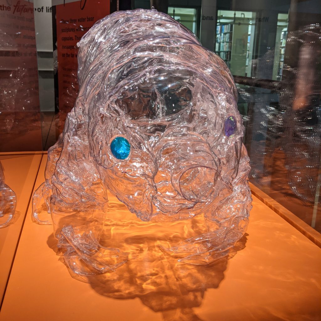 Sculpture of a tardigrade in clear plastic