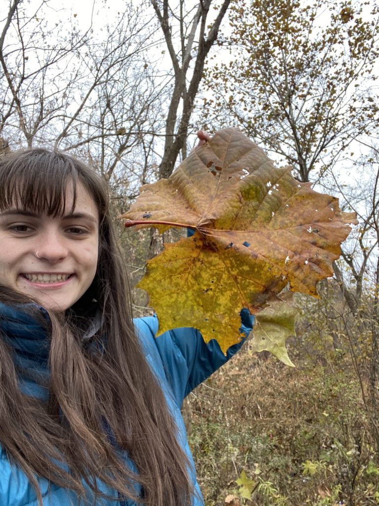 Person holding a leaf the size of their head.