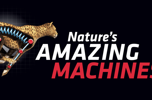 Nature's Amazing Machines