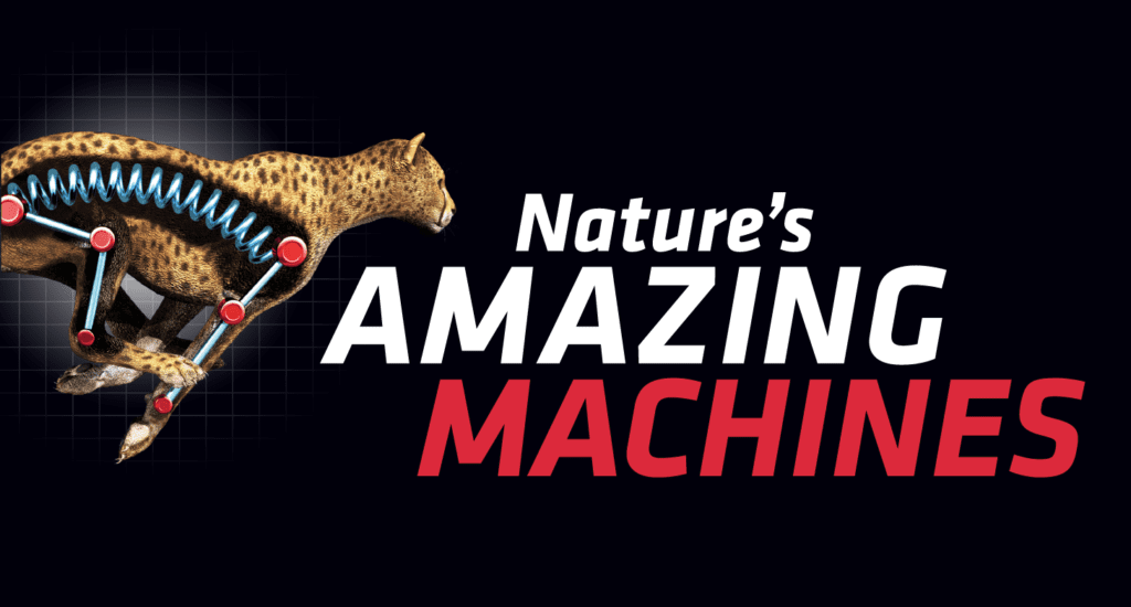 Nature's Amazing Machines
