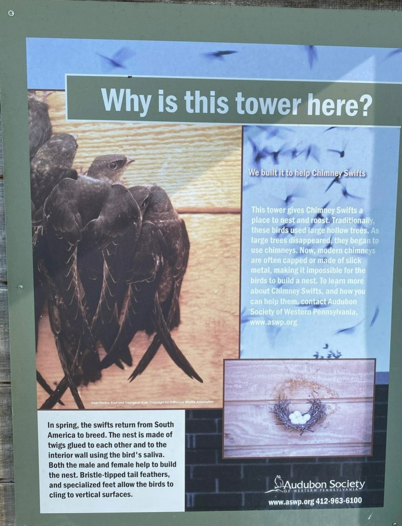 educational sign about chimney swift towers