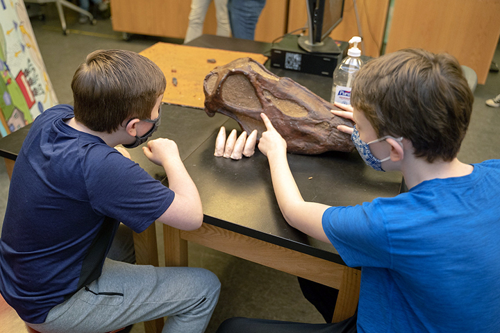 two boys examine a dinosaur skull