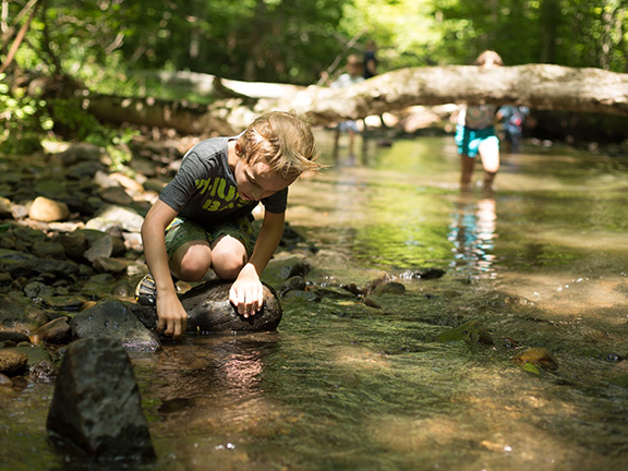 a child peers into the stream at Powdermill