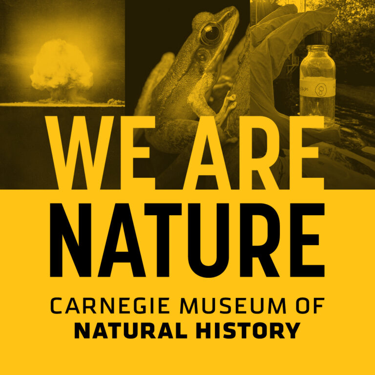 We Are Nature thumbnail in black and yellow