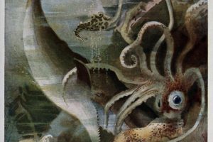 Shark-ish Beasts Versus Cephalopods: Which is Predator, Which is Prey, and is One an Artist?