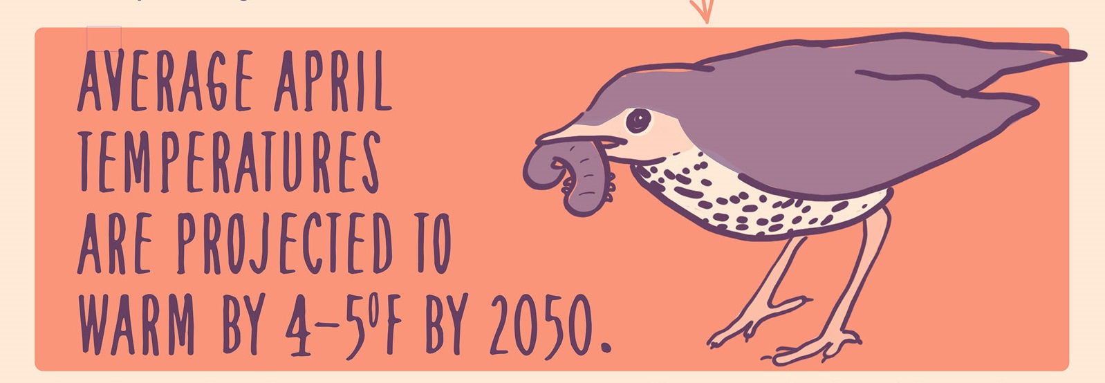 illustration of a woodthrush with a worm, text" Average april temps are projected to warm by 4-5 deg by 2050"