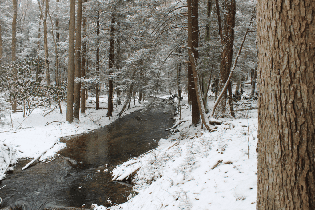 Powdermill Nature Reserve