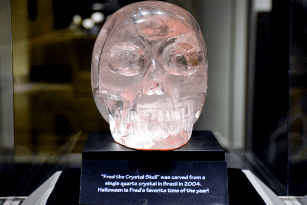 Fred, the crystal skull