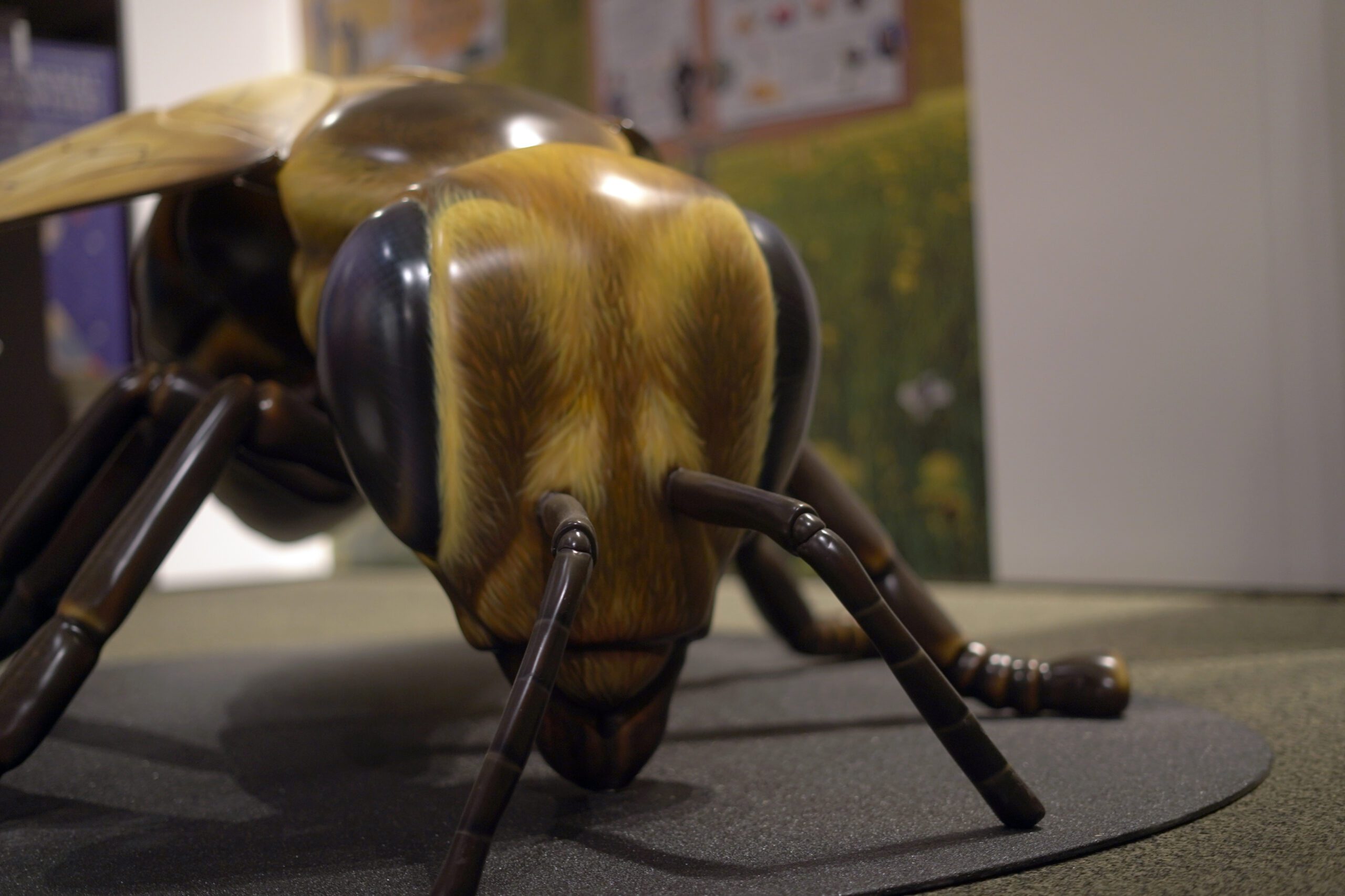 Climbable bee model