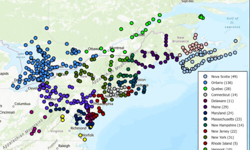 Tracking Migratory Flight in the Northeast
