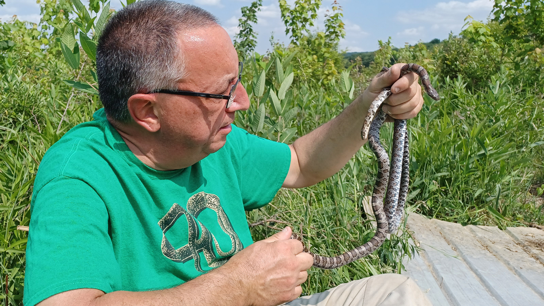 Dr. Walter Meshaka outdoors holding a snake