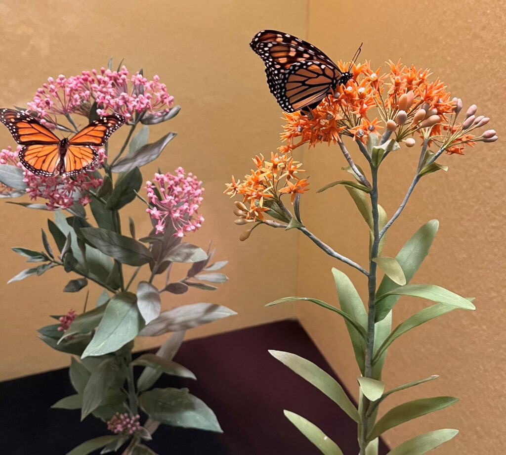 diorama of a monarch butterfly on a milkweed plant